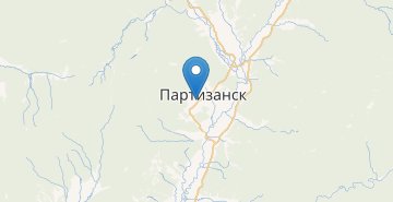 Карта Партизанск