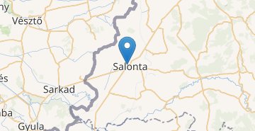 Map Salonta