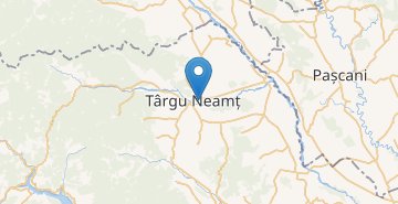 Map Targu Neamt