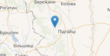 Карта Литвинов
